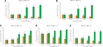 Cellular, molecular and genomic alterations in the hatchlings of Labeo rohita after exposure to Triclosan